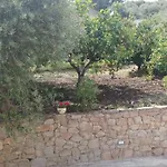 Mare Natura